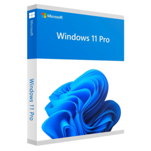 Microsoft Windows 11 Pro